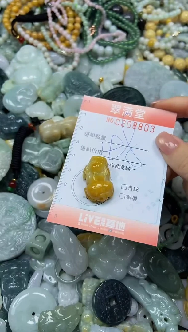 颈饰未镶嵌翡翠闪购0208803