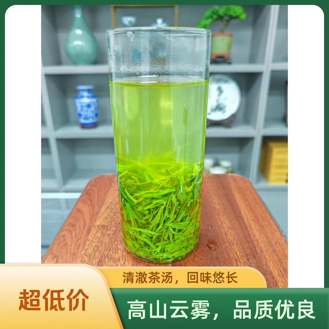 1号板栗香高山春茶中牙叶绿茶毛尖经济实惠好喝不贵