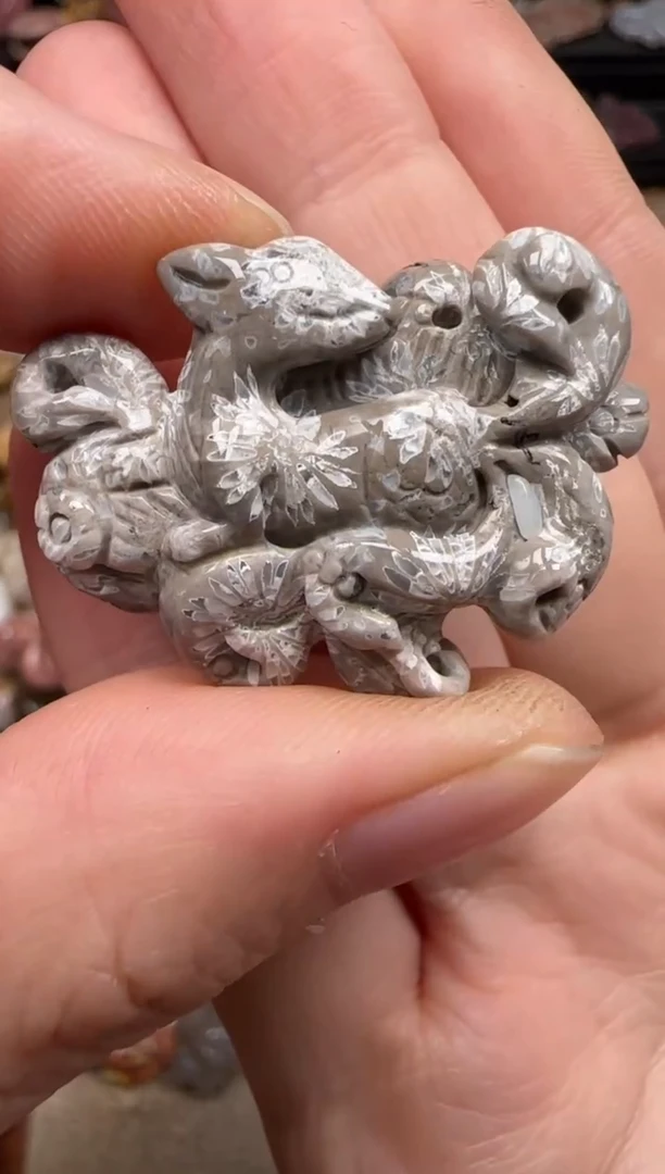 硅化珊瑚（珊瑚玉）未镶嵌颈饰716
