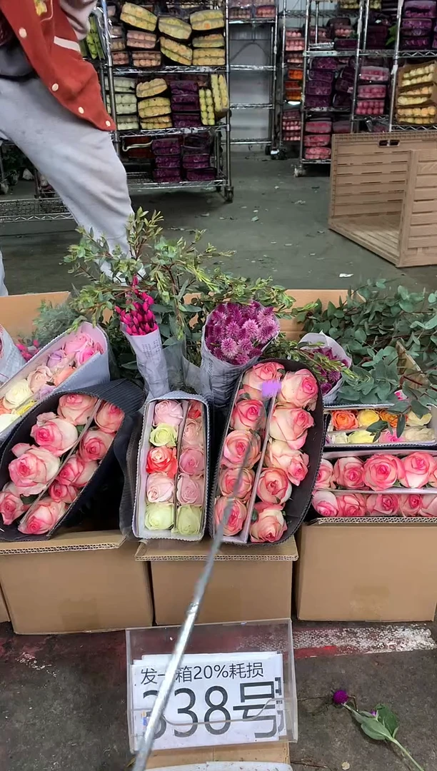 338号♥中通不指定随机颜色含20%耗损发一箱鲜花