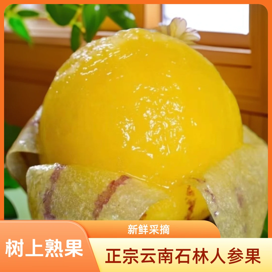 新鲜树熟云南石林黄心人参大果清甜多汁皮薄低糖应季圆果现摘现发