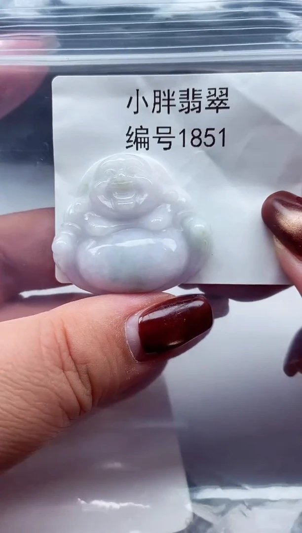 颈饰未镶嵌翡翠缅甸天然A货翡翠1851