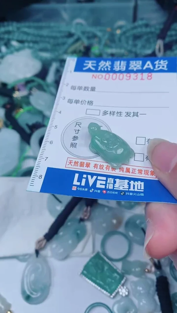 颈饰未镶嵌翡翠00009318