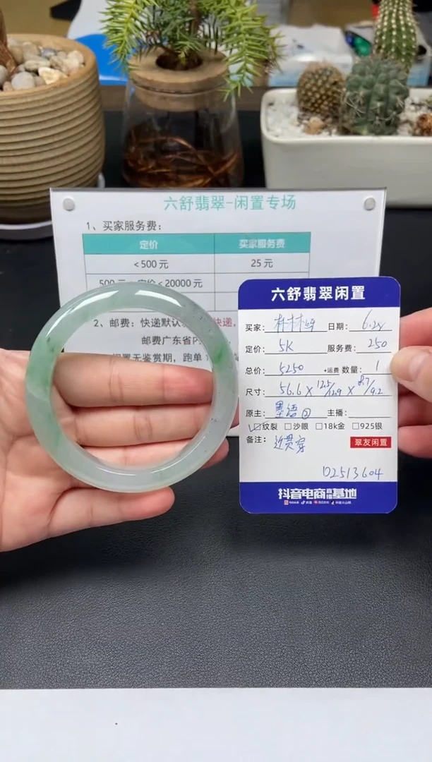 翡翠手镯未镶嵌林**呀D2513604