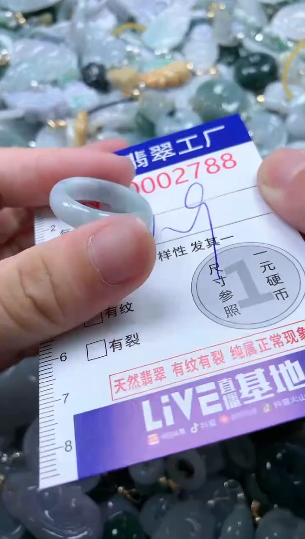 翡翠未镶嵌吊坠(不含链)2788