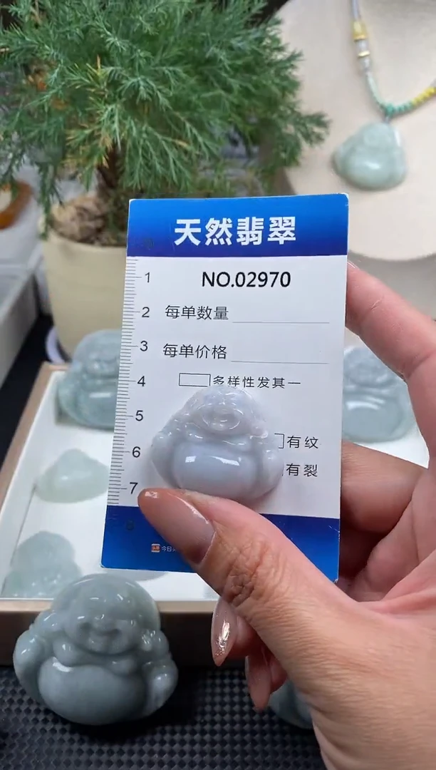 颈饰未镶嵌翡翠纯天然A货缅翡2970