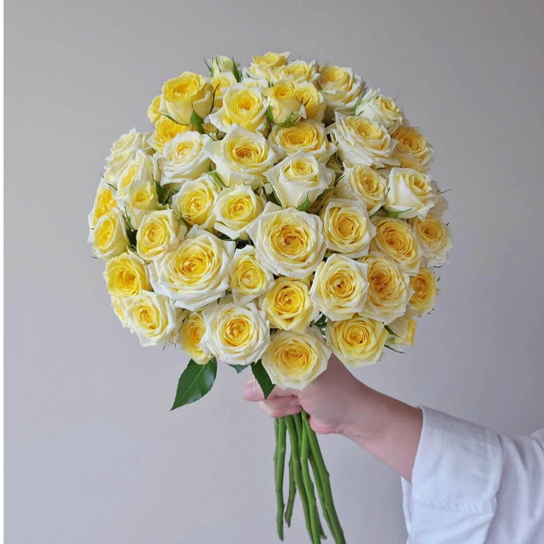 【稀有玫瑰】娃娃公主-多头玫瑰