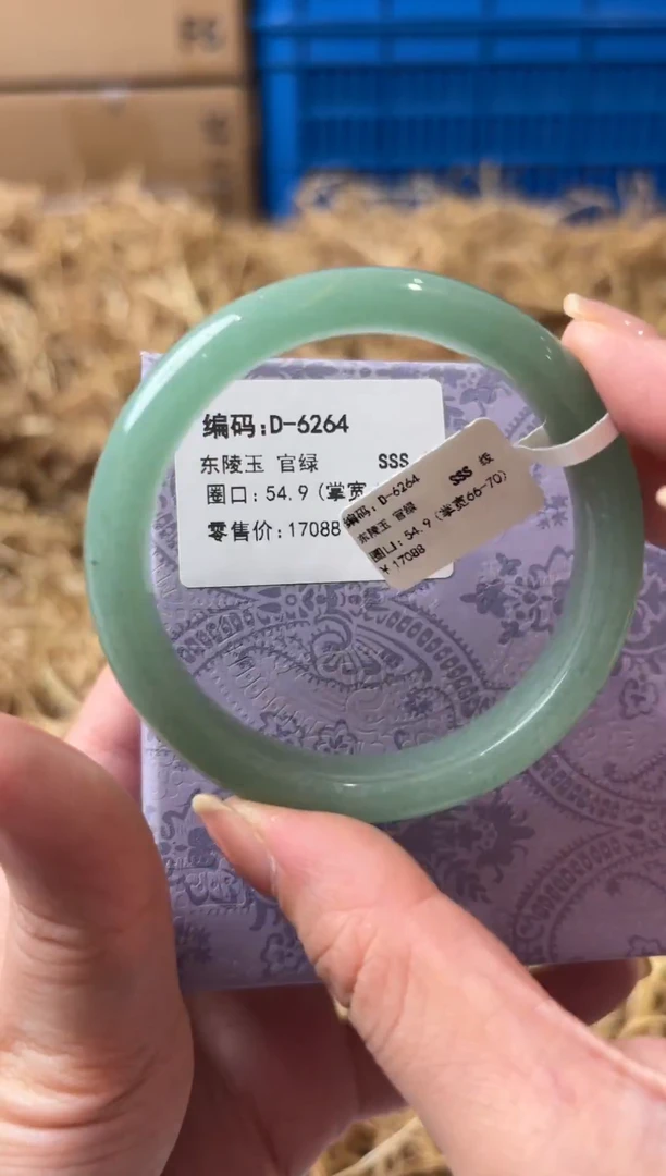 未镶嵌手镯石英质玉D-6264