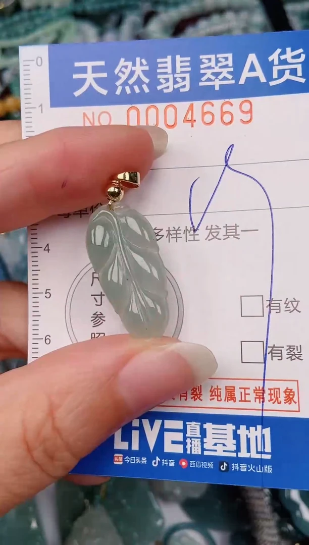 颈饰未镶嵌翡翠00004669