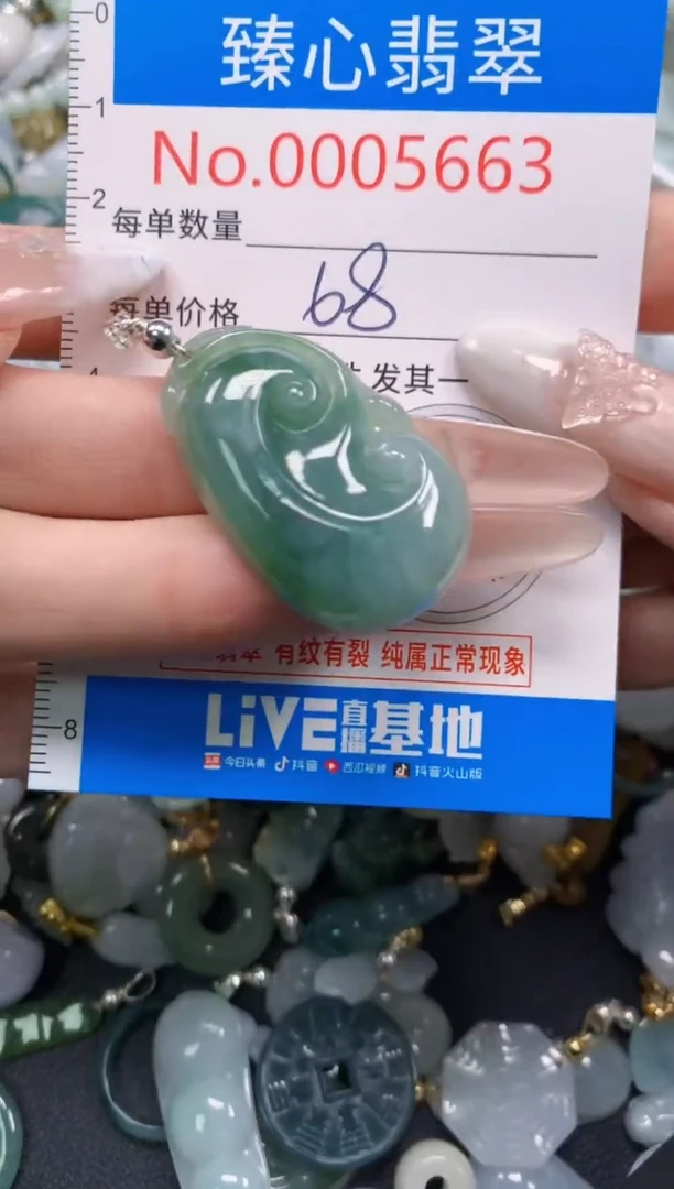 颈饰未镶嵌翡翠5663