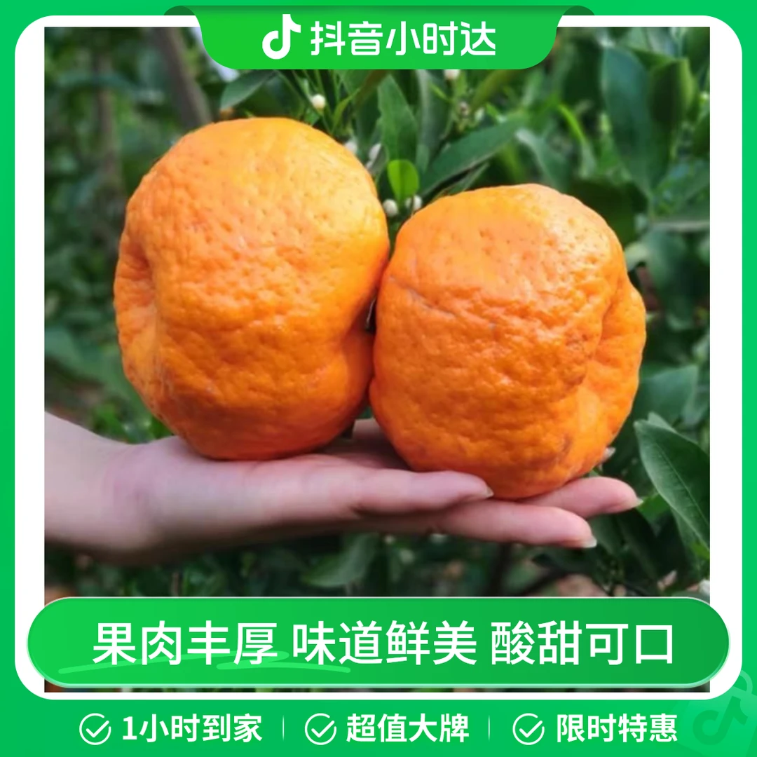 【水果】丑柑/份            约500g±50g