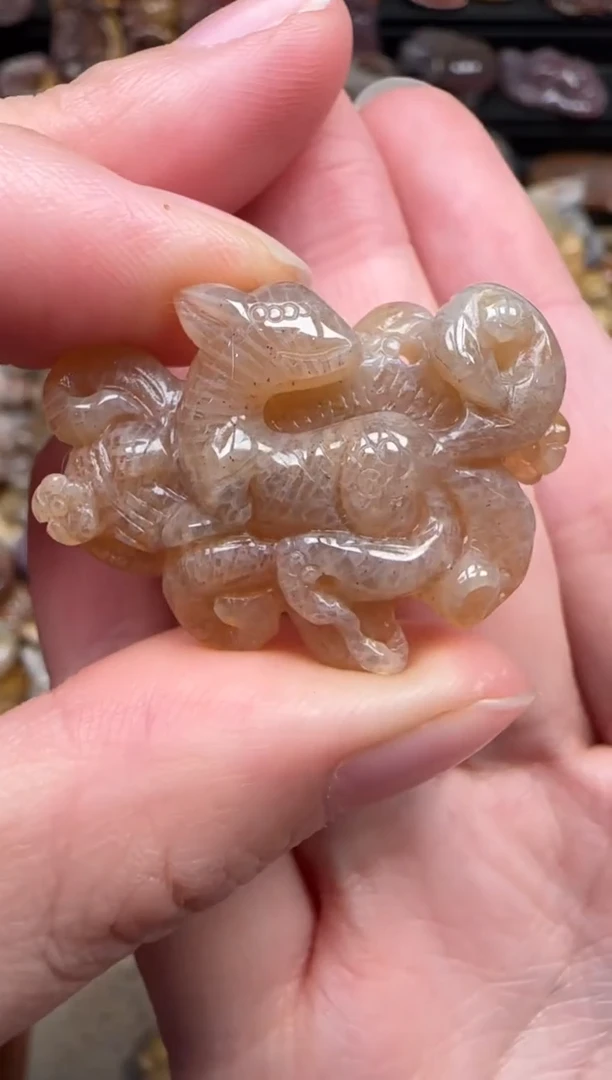 颈饰未镶嵌硅化珊瑚（珊瑚玉）367