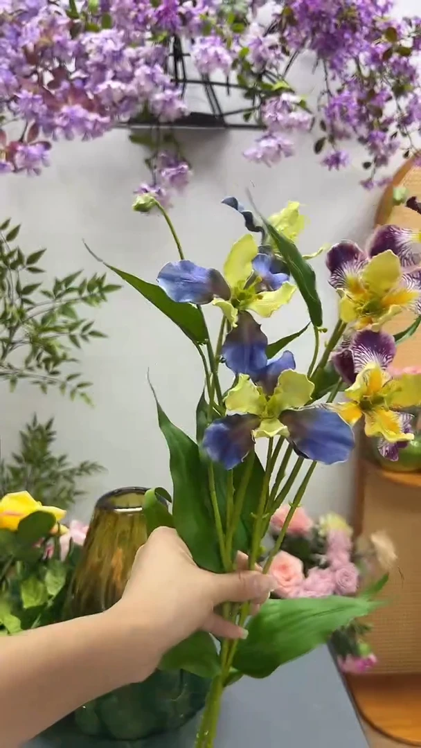 2枝混色鸢尾花花