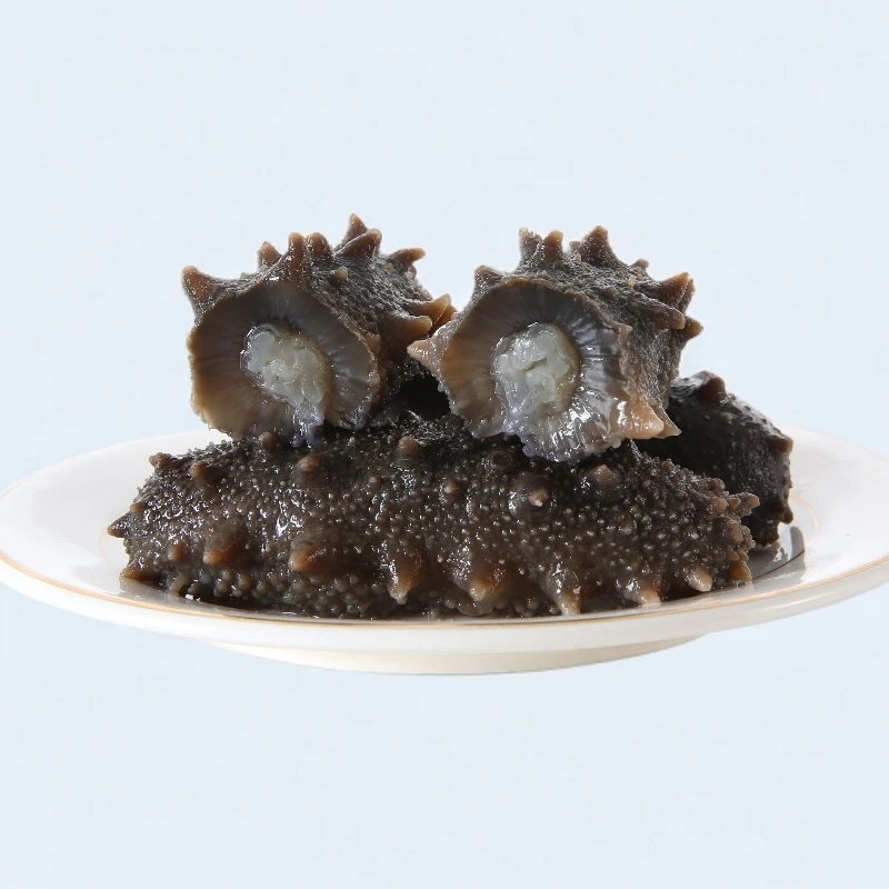 即食鲜蒸海参 13-14头 源头工厂 发货品质有保障