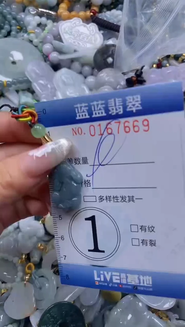 【闪购商品】翡翠颈饰未镶嵌闪购0167669