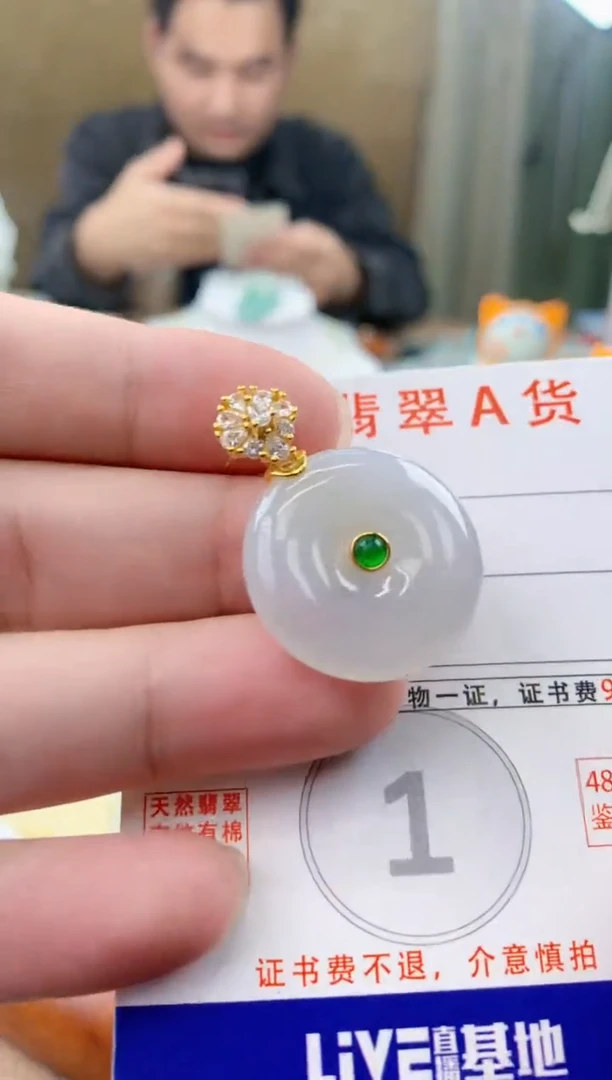 颈饰未镶嵌翡翠天然A货翡翠挂件