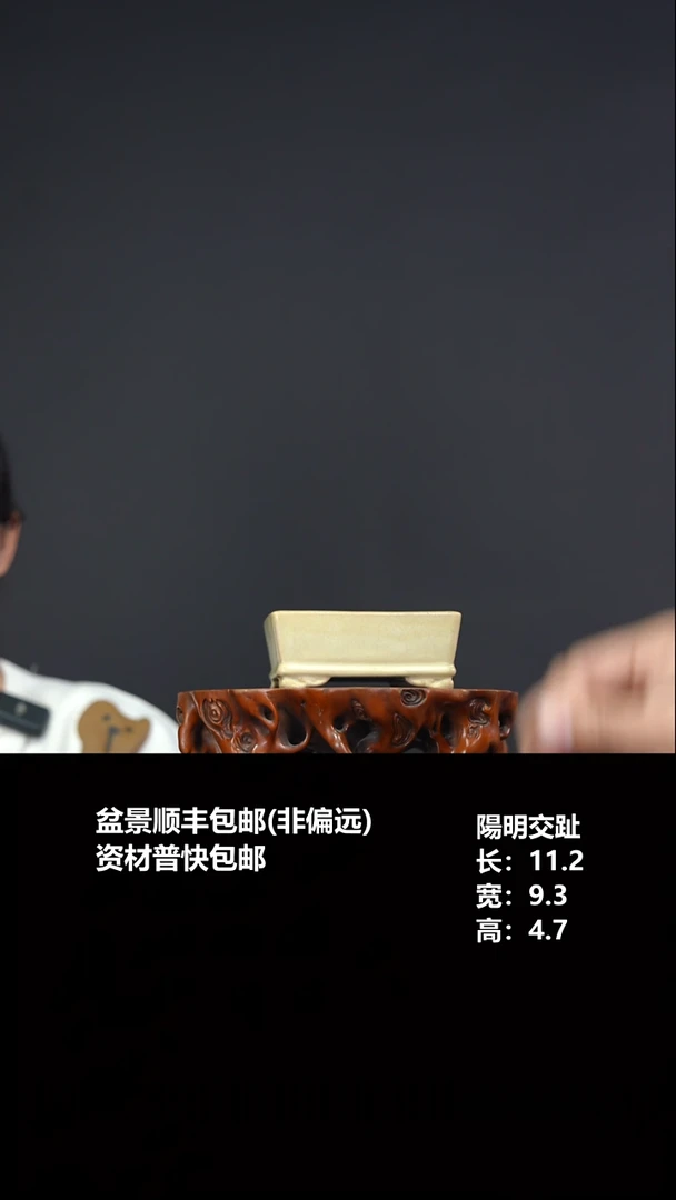 陽明交趾长方-586