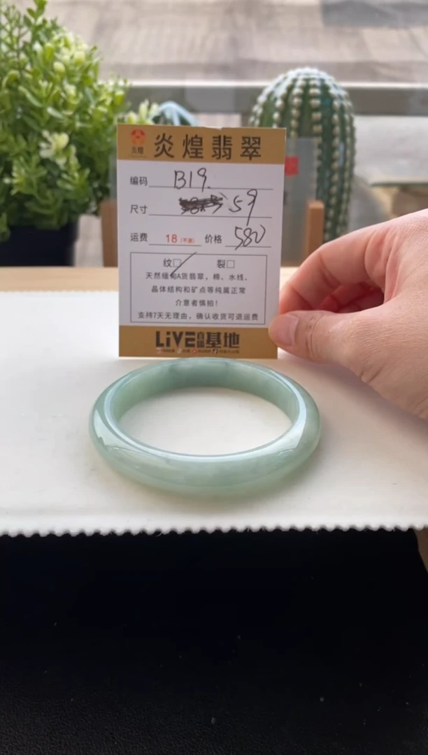 未镶嵌手镯翡翠59.1圈口编码B19