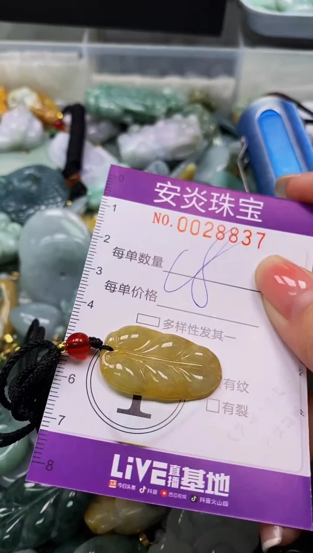 颈饰未镶嵌翡翠闪购0028837