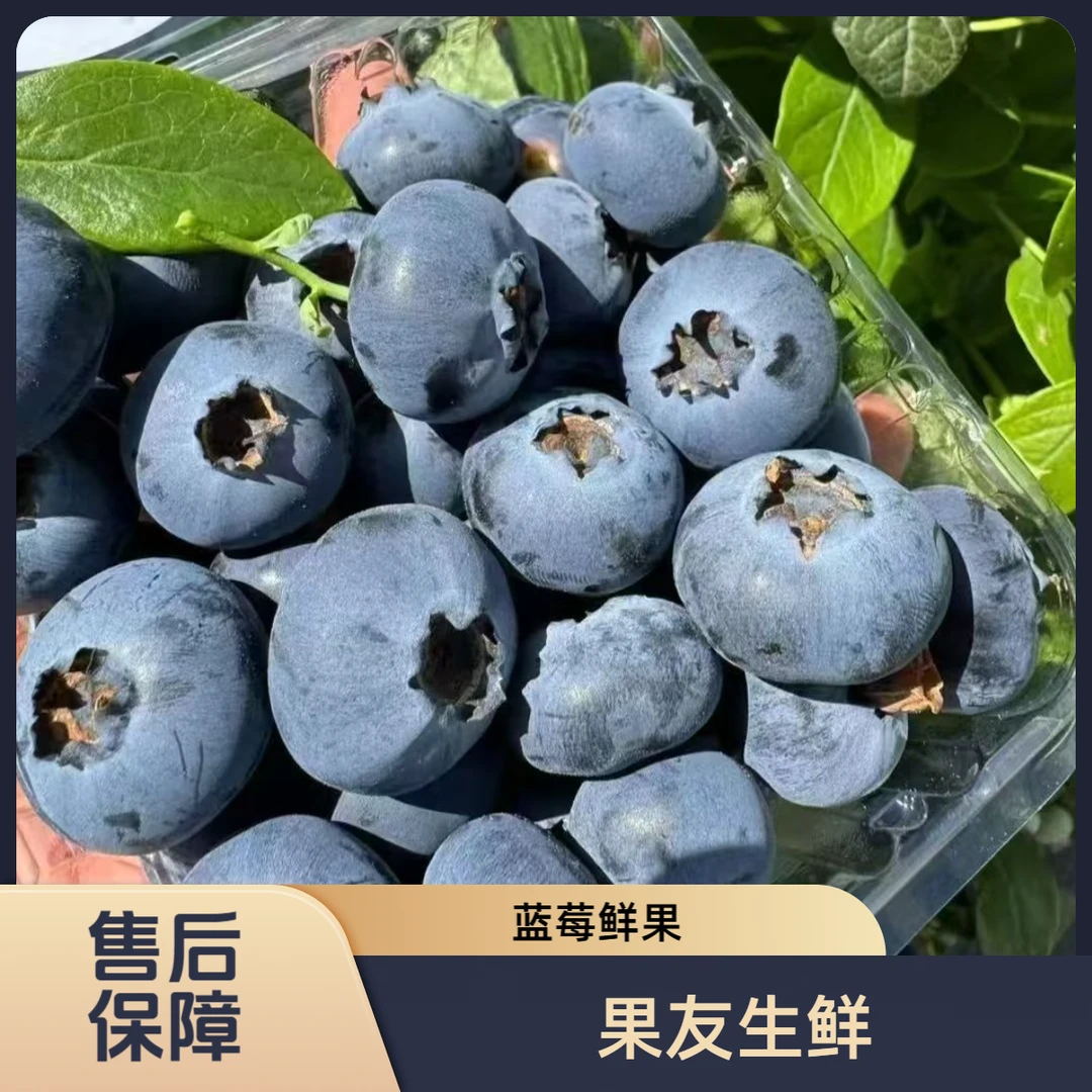 【进口OZ鲜果蓝莓】新鲜 甜蜜 4盒/份 净果1斤太原晋中吕梁拍