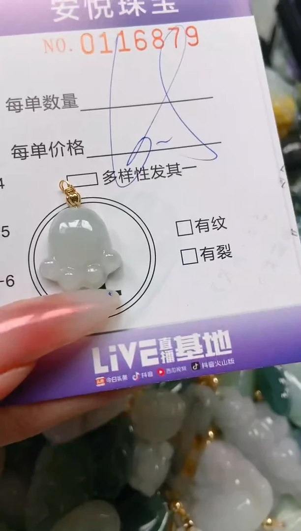 【闪购商品】翡翠颈饰未镶嵌闪购0116879