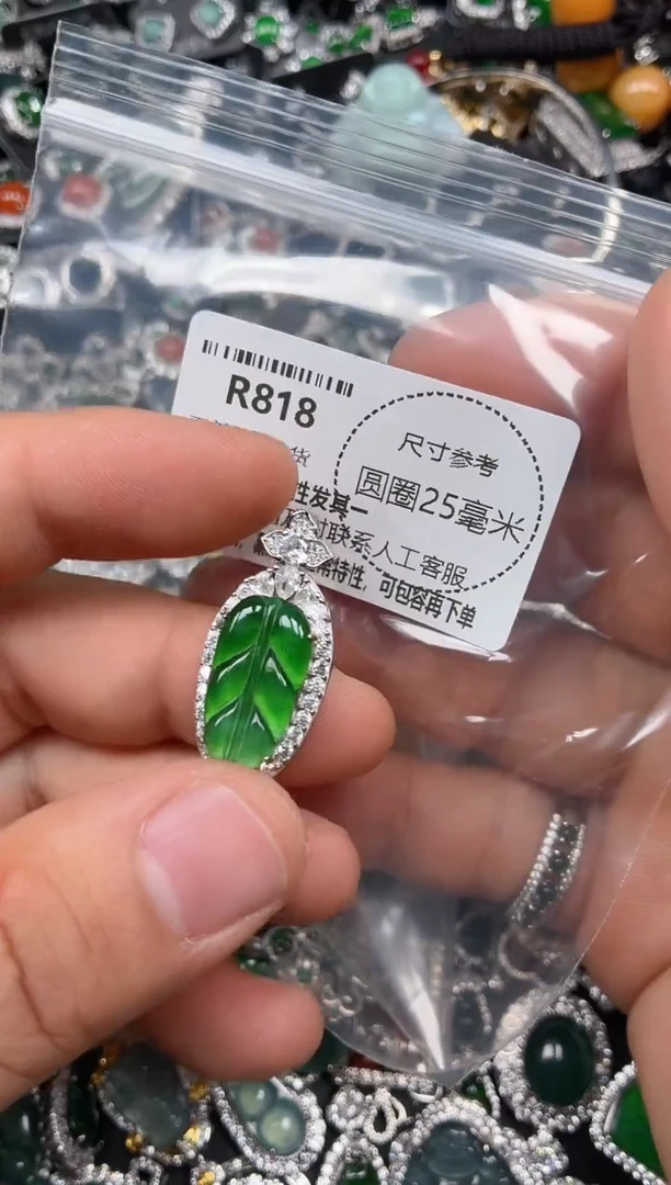 翡翠未镶嵌颈饰R818吊坠
