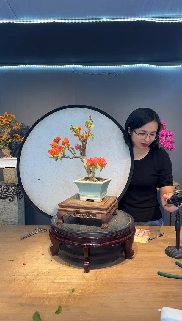 【闪购商品】许大美丽  绿叶橙