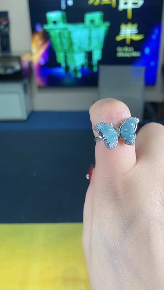 【闪购商品】翡翠颈饰未镶嵌00000012