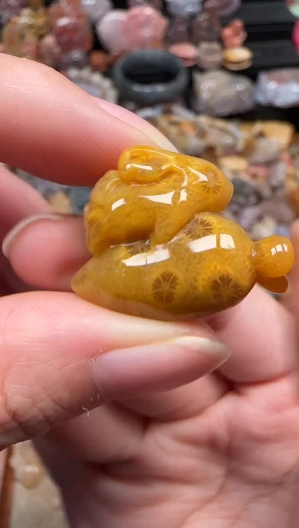 颈饰未镶嵌硅化珊瑚（珊瑚玉）588