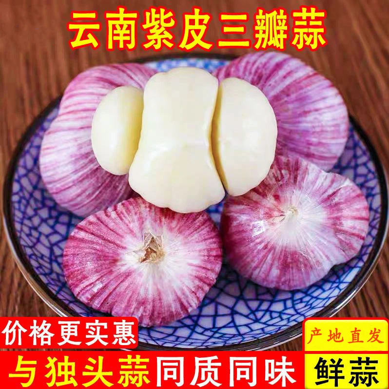 BC/热宝【鲜蒜上新】农家大蒜紫皮三瓣蒜元宝蒜现挖三瓣蒜1/2/3/5斤