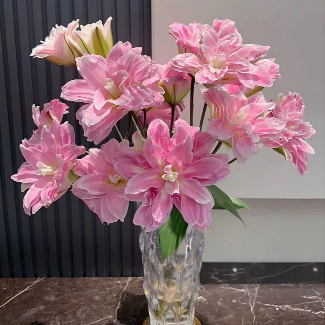 【三头5枝15-20个花苞】莲花之境重瓣百合云南鲜花基地直发鲜切花