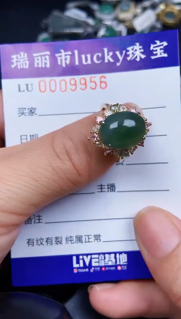 翡翠银S925镶嵌颈饰9956