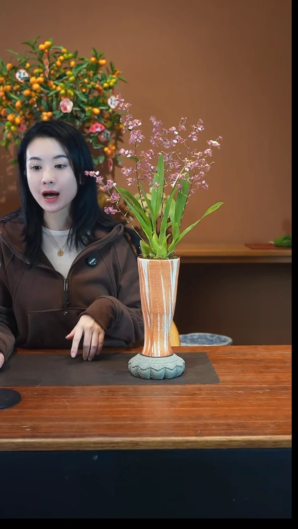 全部花朵香宝贝盆景盆景盆景