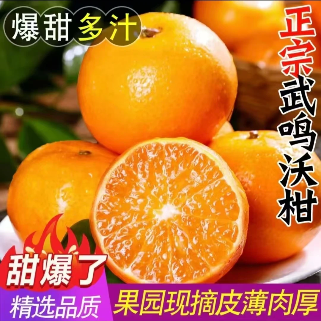 H【广西正宗武鸣沃柑】新鲜采摘香甜多汁皮薄老树农家桔子