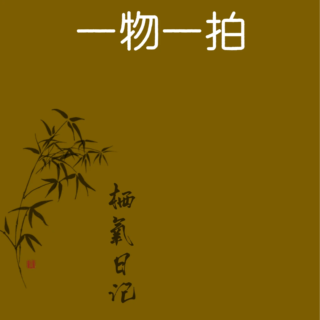 鲜活网红绿植直播间一物一拍专属链接