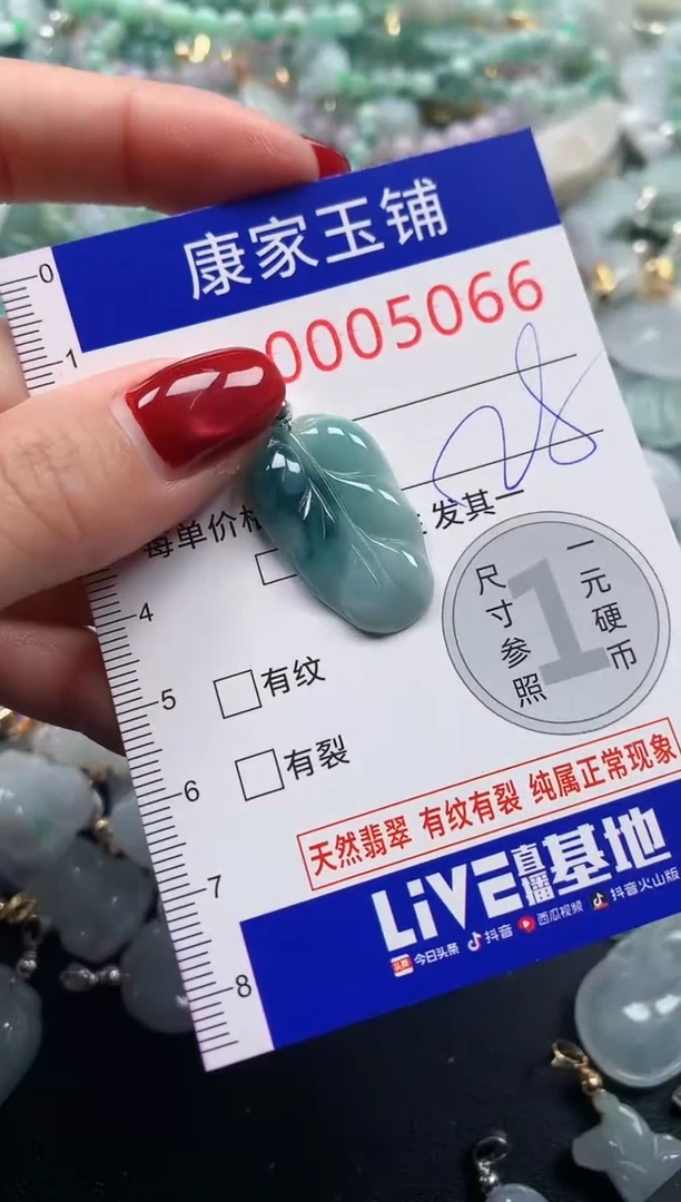 颈饰未镶嵌翡翠5066