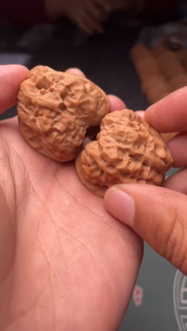 核桃a29   蛤蟆头   38尺