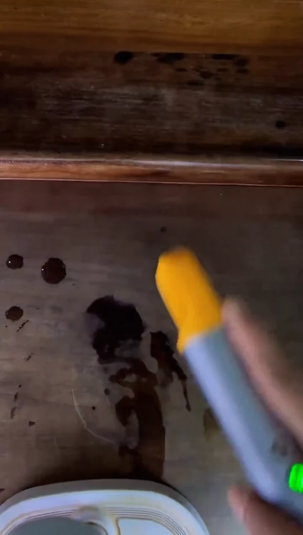 茶盏78古陶瓷研究泰斗收官专场-吴林森