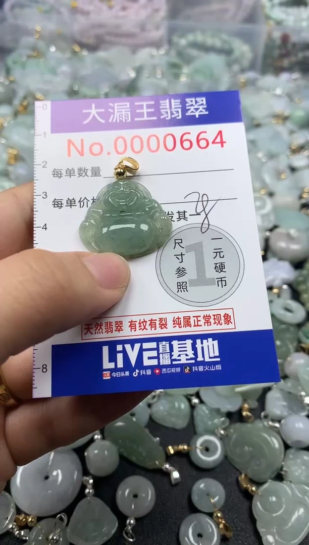 翡翠未镶嵌吊坠(不含链)664