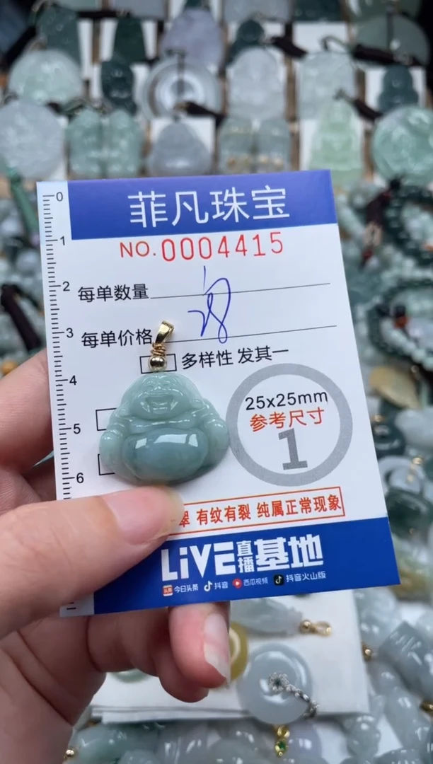 翡翠未镶嵌颈饰00..4415