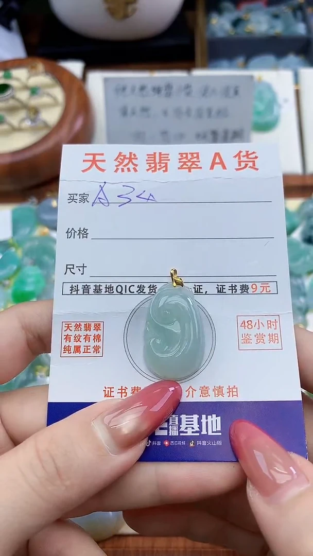 颈饰未镶嵌翡翠天然A货翡翠挂件