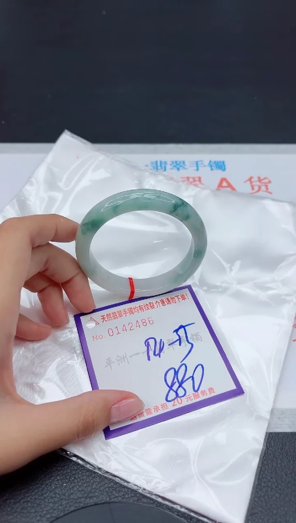未镶嵌手镯翡翠111111