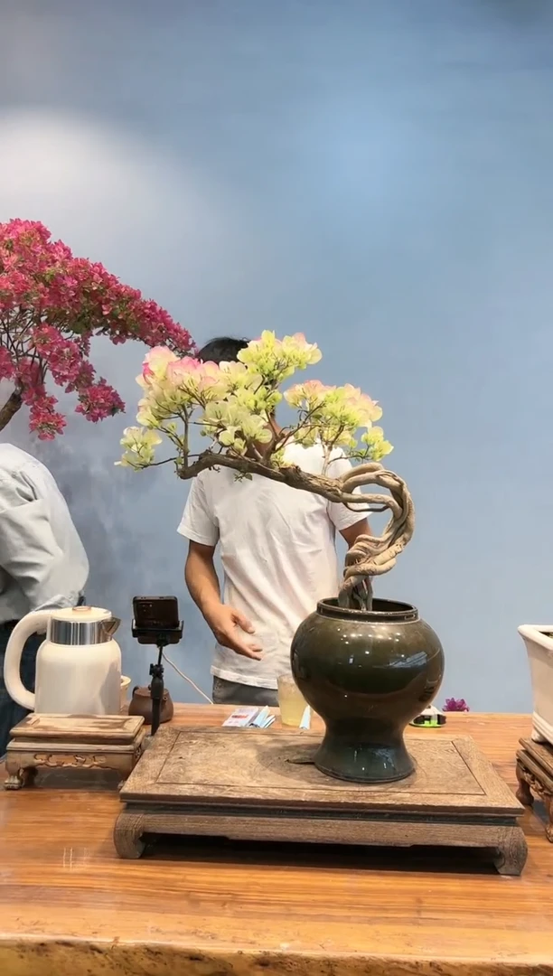 【闪购商品】aa903