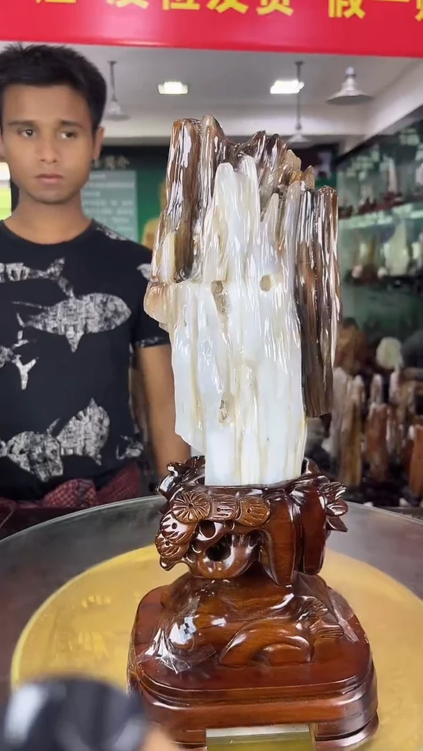 未镶嵌珠宝奇石硅化玉缅甸天然树化玉摆件