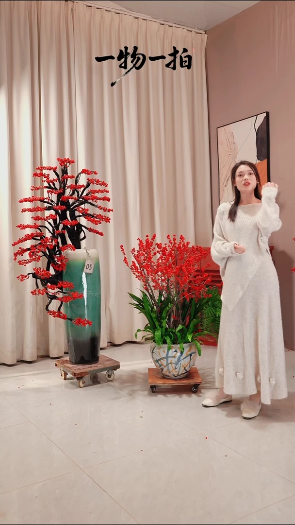 完全开放H桌面款北美冬青绿植链接