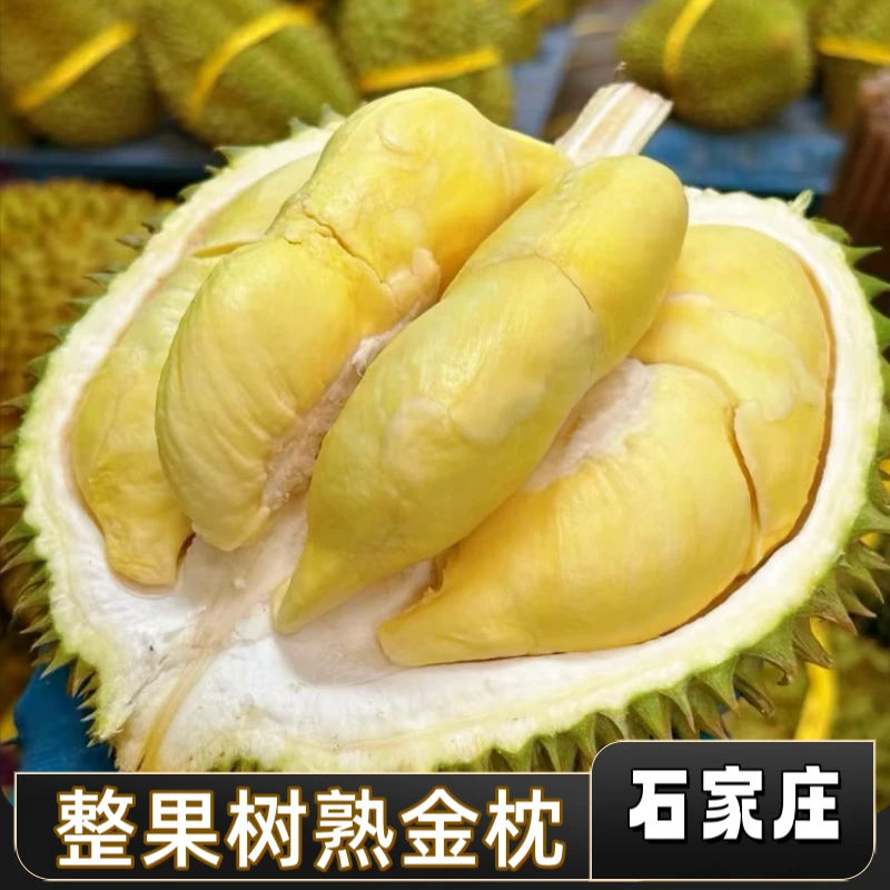 【整果】金枕树熟鲜榴莲(一物一拍)核小 2-8斤金枕泰国