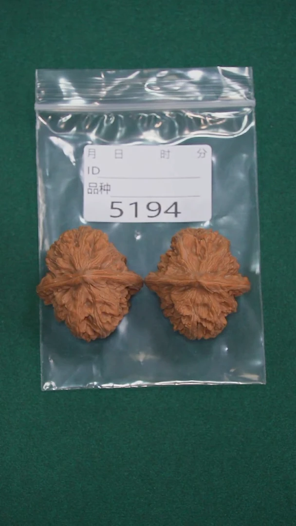 把件文玩核桃用****540三羊谷