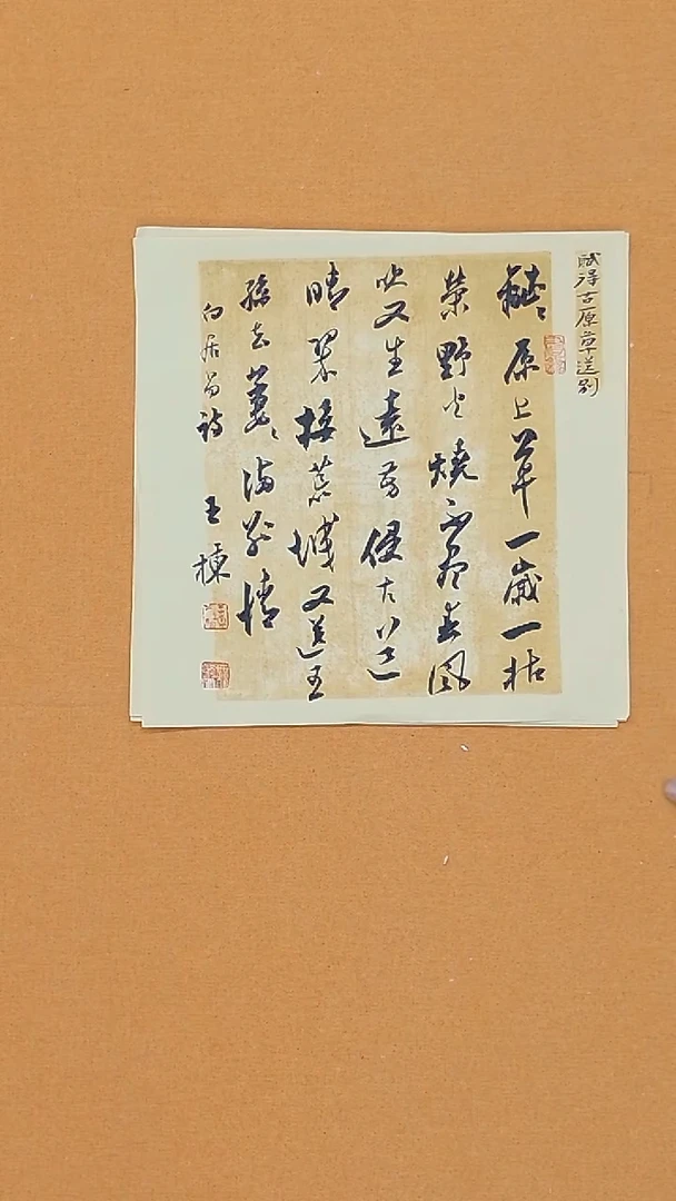 书法王栋34*34 山东 十二 十三届