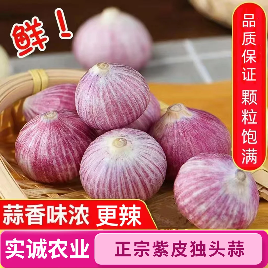 【品质干蒜】云南紫皮独头蒜大头蒜红皮蒜香辣饱满厨房调味批发蔬菜