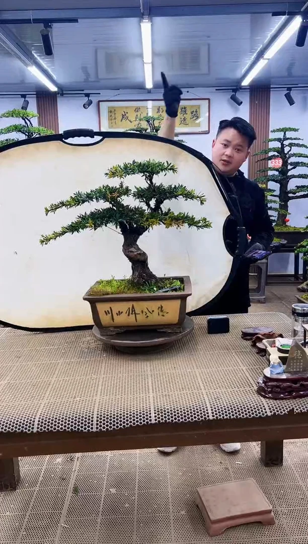 【闪购商品】00000000